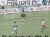 Rivaldo Palmeiras vs Nautico 2 Gols