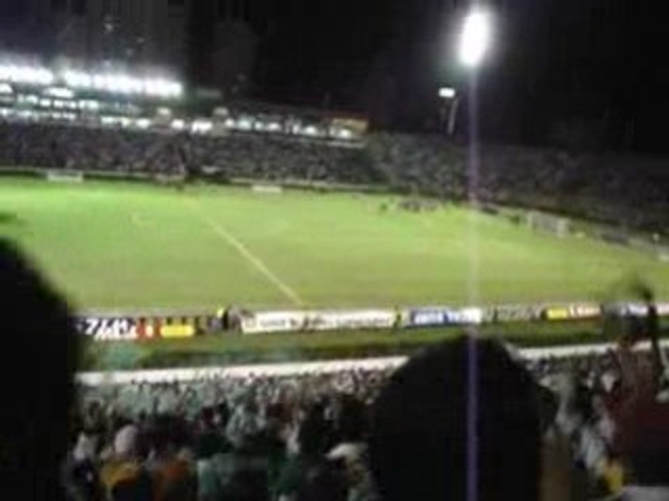 PALMEIRAS