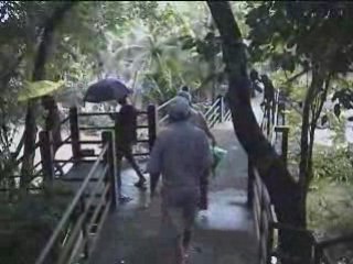 Nong Nooch Tropical Garden