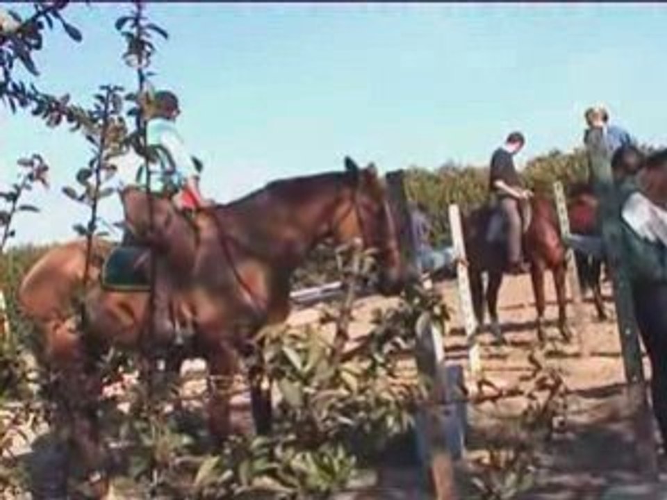 Internet D'Orgeix 25 février 2000 partie 2