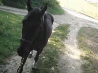 Ballade avec le chouf et dhéa