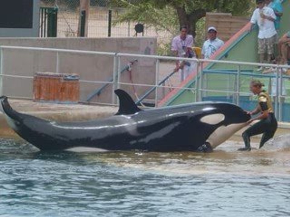 DIAPO'SIC MARINELAND