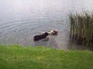 Drack,Charly &Calia 027