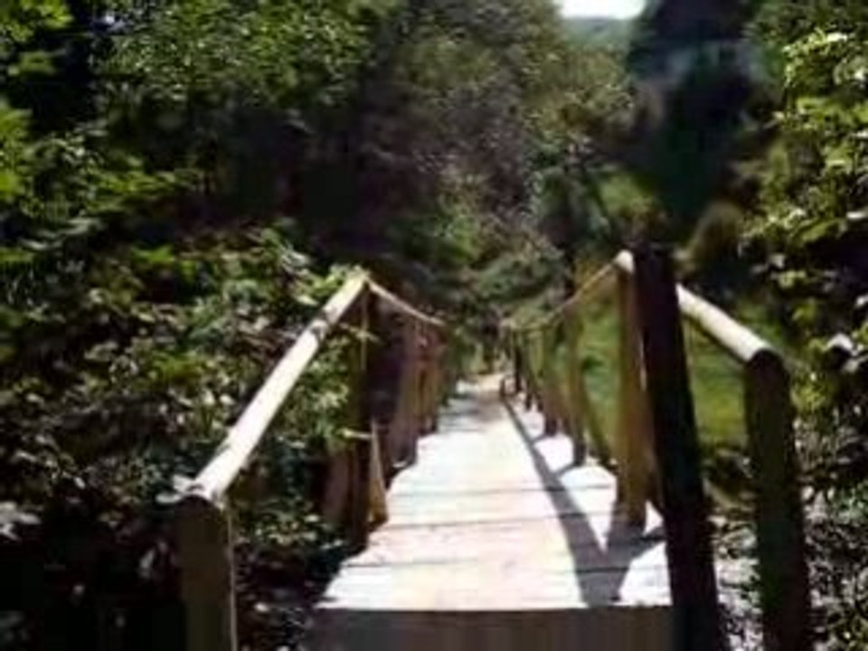 DSCF9009