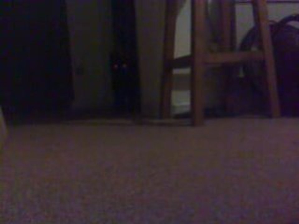 La doodoo