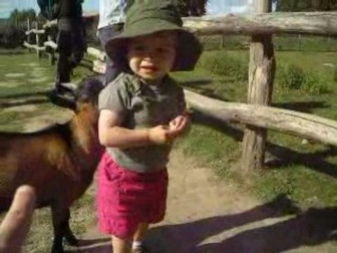 Le parc des Félins ...