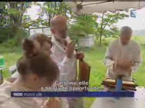 élevage de reines abeilles