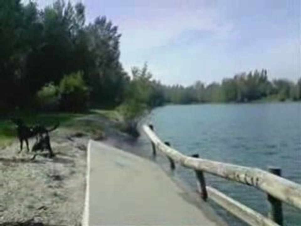 VIDEO02