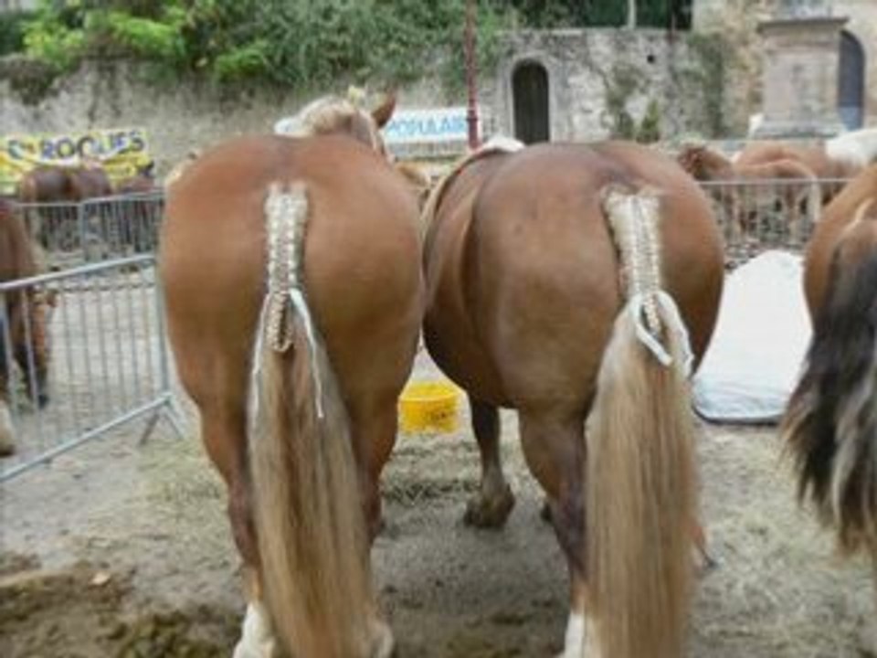 Concours de chevaux de trait de Monestié