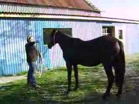 séance d'éthologie sonara