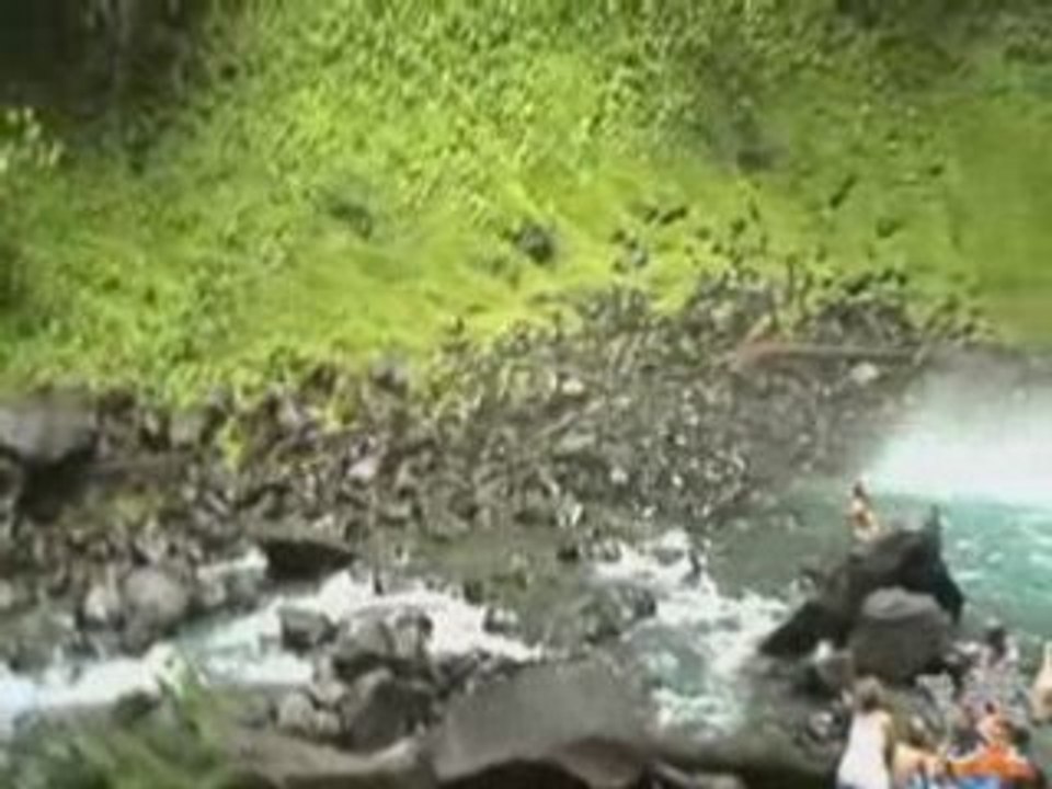 MLM Crusher Marketing Guru in Costa Rica