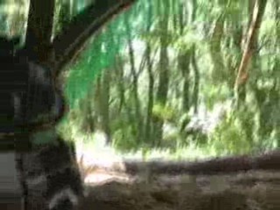 Intro MAS