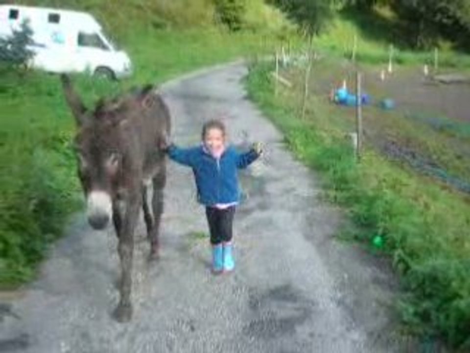 séance "éthologique"