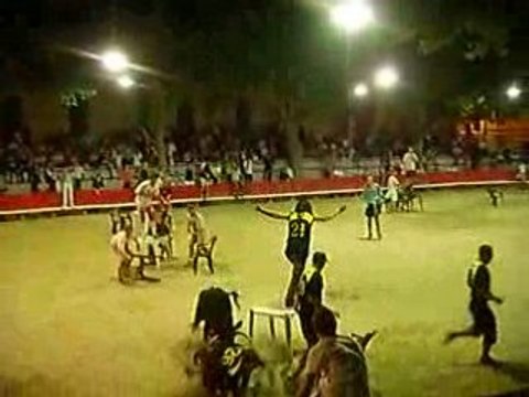 Fete de Marsillargues