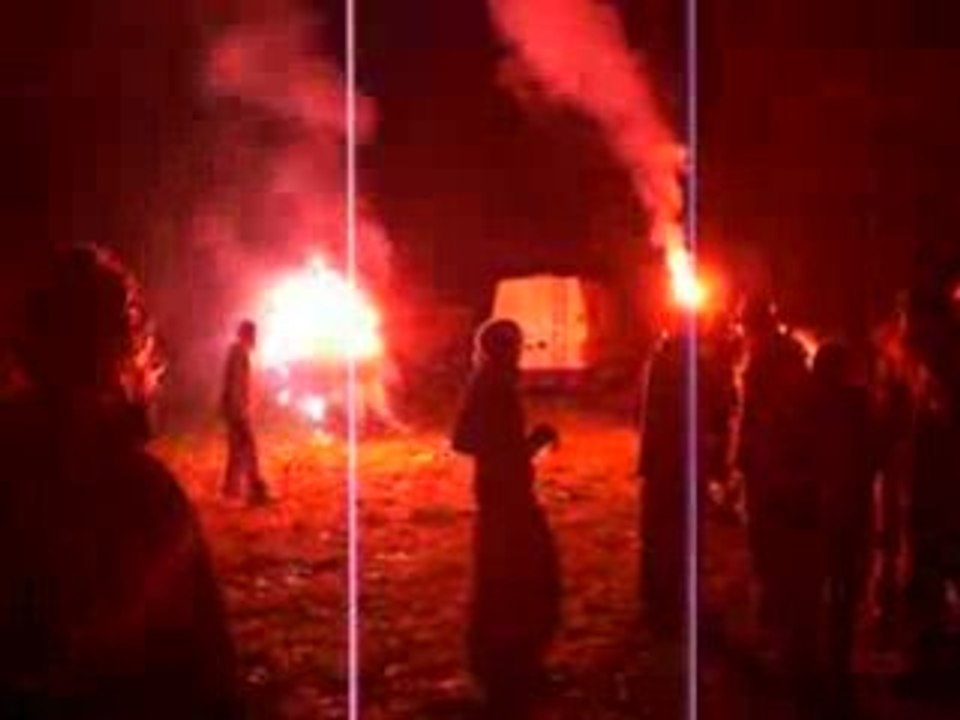 Free Lulutek Lezards libres 06_09_08