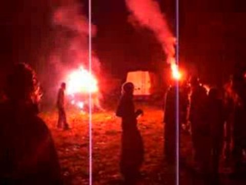 Free Lulutek Lezards libres 06_09_08