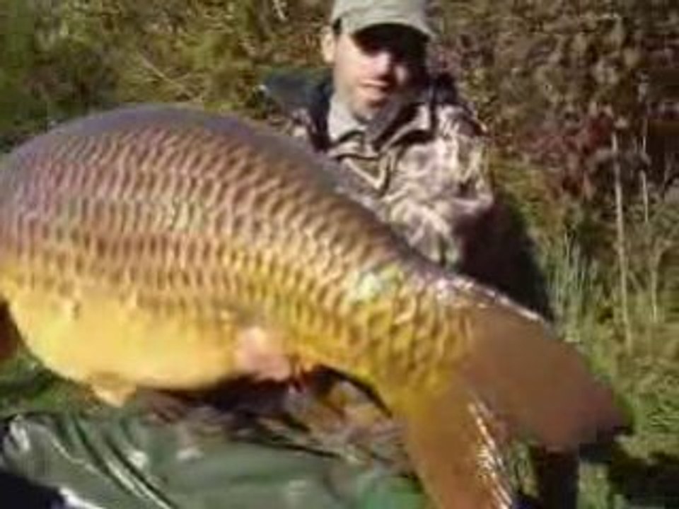 Commune 21kg