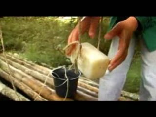 Fédération du scoutisme français