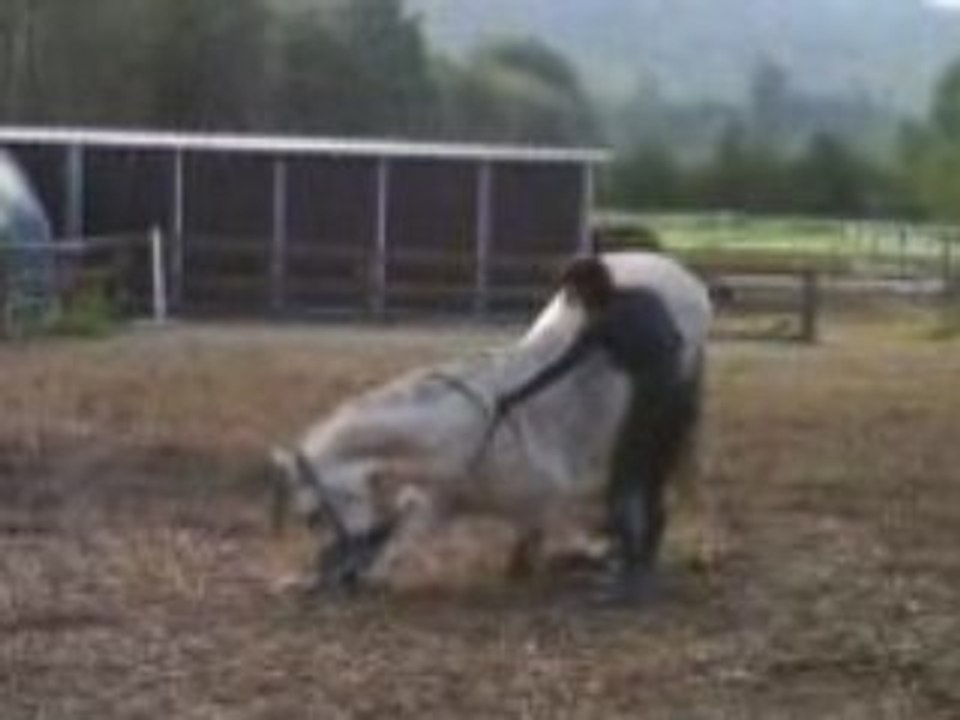 Révérence Sonho seul