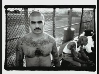 [Chino XL] Latinos Stand Up