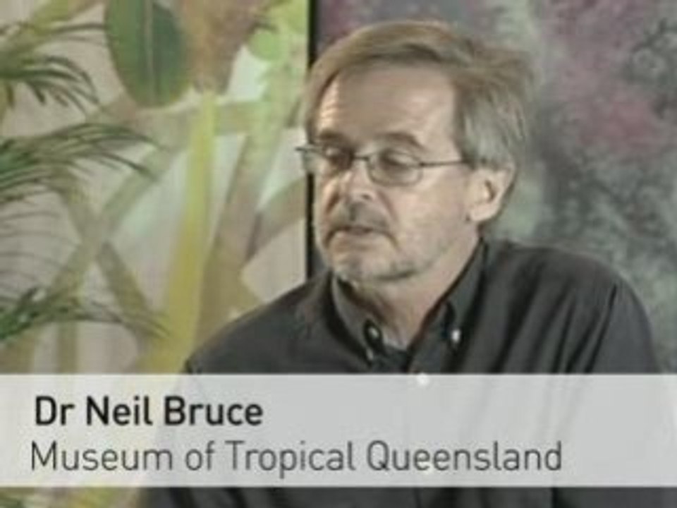 Hundreds of new marine species discovered