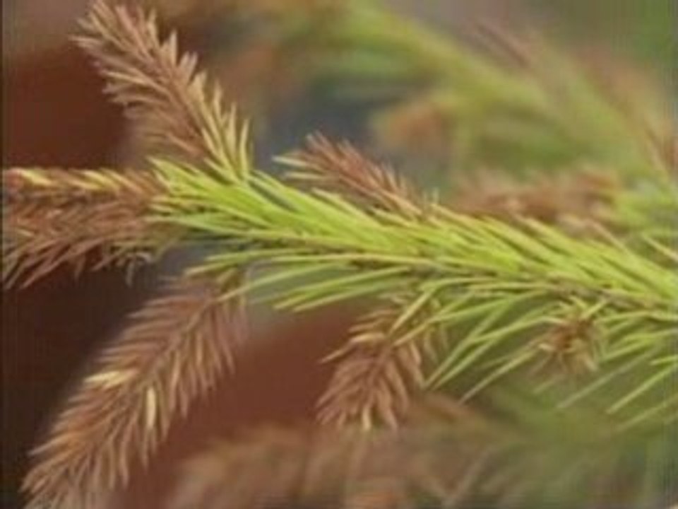 New marine species discovered