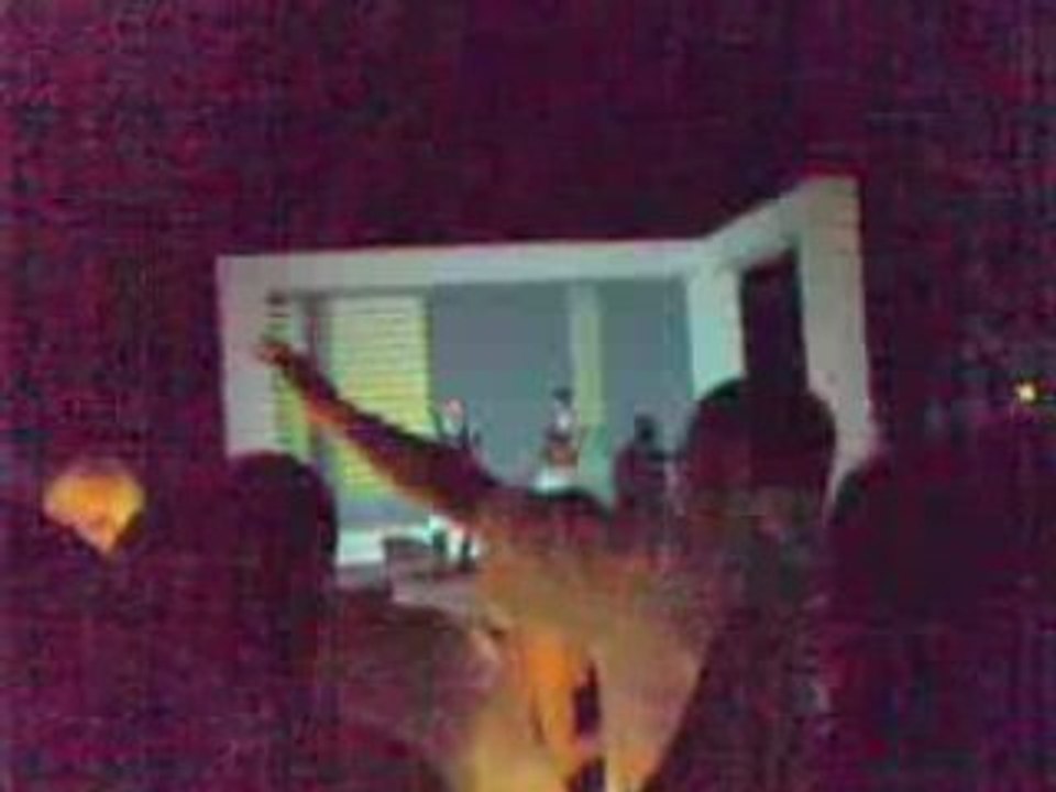 Alba Adriatica 2008 - Gattopardo