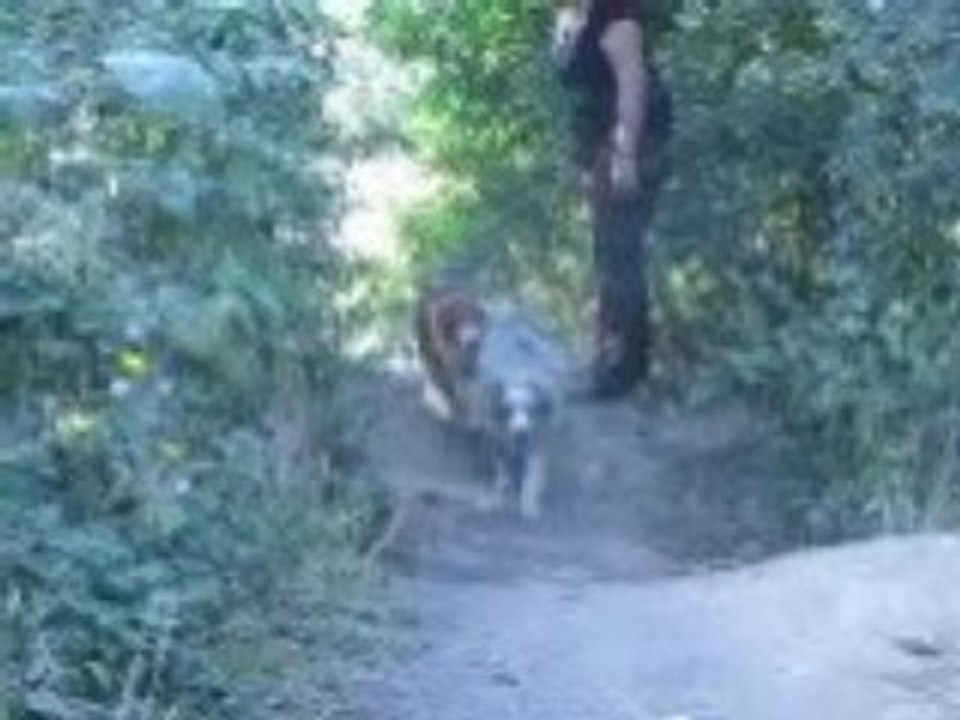 Djoud et Diego 18 09 2008 050