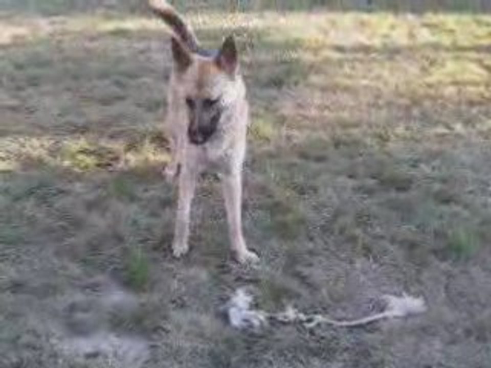 Celta - Septembre 2008