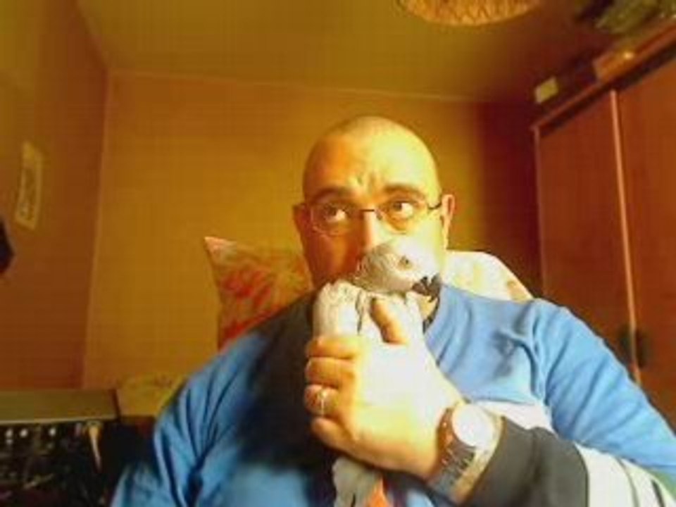 mon perroquet