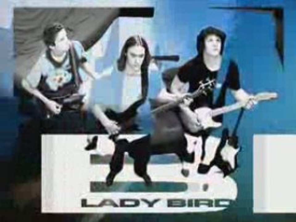 TDM - LADYBIRDS "When I see"