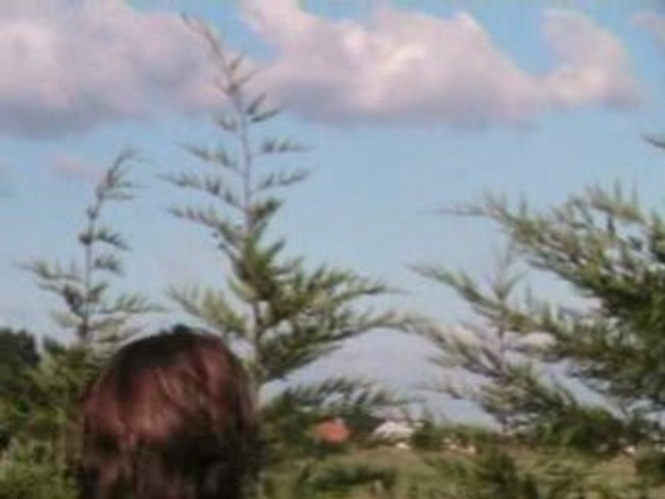 Meeting Aérien 2008