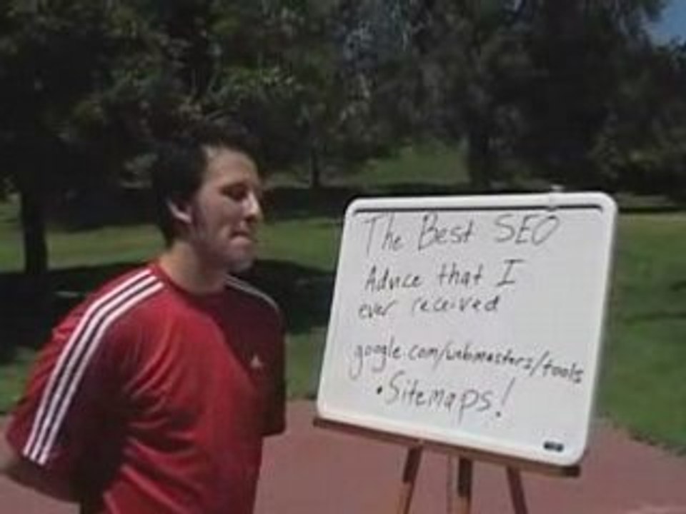 Free Website Traffic Tips Lesson 3:  Follow the Best SEO