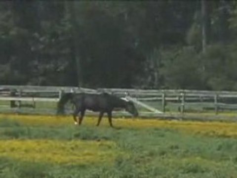 Home for Sale - 8108 Nichols Ct.,, Fuquay Varina, NC