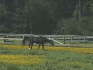 Home for Sale - 8108 Nichols Ct.,, Fuquay Varina, NC