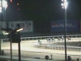 2008 (365) Premio AIR FRANCE-KLM (H) (Cat C) (LISSELAN MUSE)