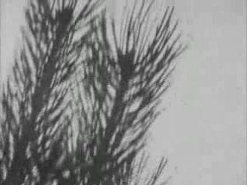 Boys Noize - Shine Shine