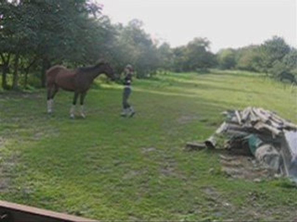 Seance d'éthologie du 18.09.08