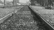 The Railroad Tracks