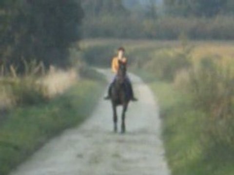 Encore un galop en balade !!! =)