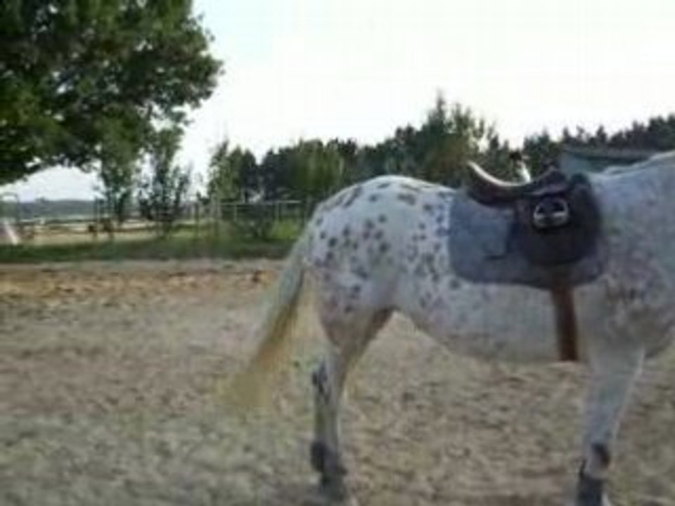 DSCF2761
