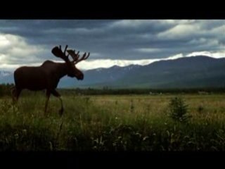 We don't wear sandals in Versus Country.