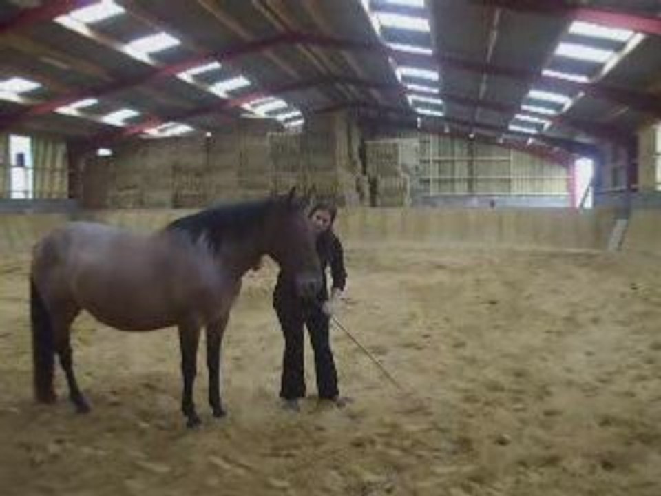 Liberté flamme premier montage 2