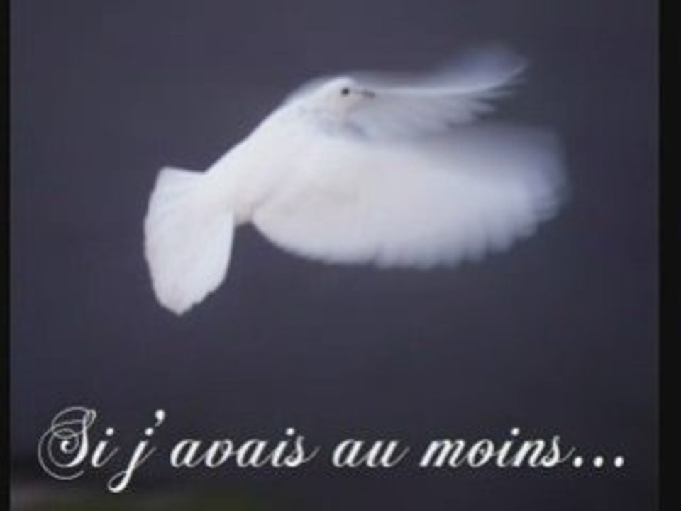 Si j'avais au moins...