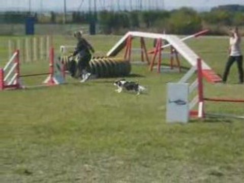 Silver Gpf agility eurocopter