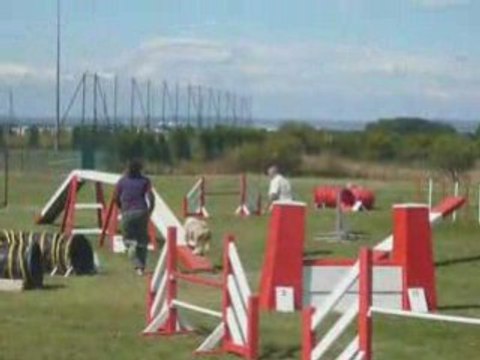 Tailee 2eme degre agility eurocopter