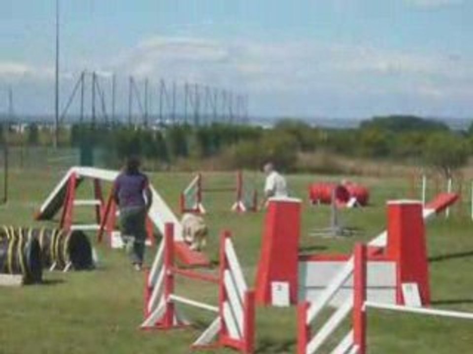 Tailee 2eme degre agility eurocopter