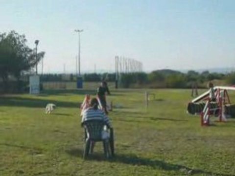 Tailee gpf agility eurocopter