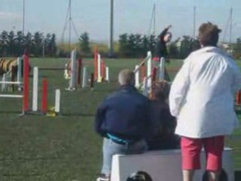 Tailee jumping agility eurocopter