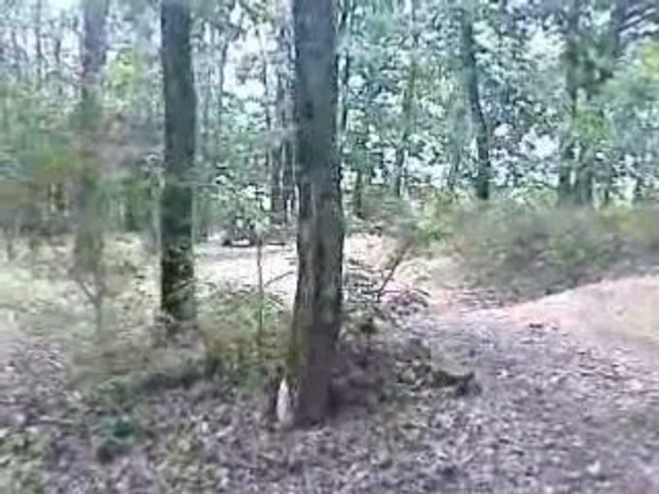 Saut de fab